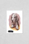 Catahoula Cur Puppy Wall Art Poster Print