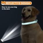 Teal Reflective Dog Collar for Medium Dogs