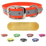 Personalized Reflective Dog Collar with Name Plate