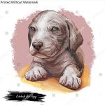 Catahoula Cur Puppy Wall Art Poster Print