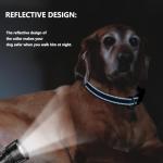 Personalized Reflective Dog Collar with Custom Name