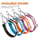 Waterproof Adjustable Martingale Dog Collar with Reflective Strip