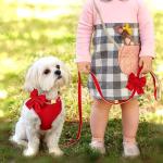 Didog Red Bowtie Dog Harness, Collar, and Leash Set