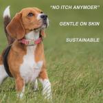 Hot Pink Cotton Hemp Dog Collar and Leash Set