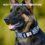Personalized Reflective Dog Collar with QR Code