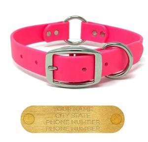 Large Pink Custom Engraved Dog Collar with Buckles