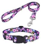 Boho Floral Dog Collar and Leash Set
