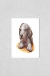 Catahoula Cur Puppy Hand-Drawn Wall Art Print