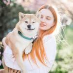 Personalized Adjustable Dog Collar in Bluegreen