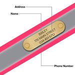Personalized Reflective Dog Collar with Name Plate