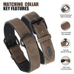 Didog Adjustable Leather Dog Collar and Leash Set