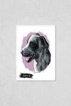 Catahoula Cur Dog Hand-Drawn Poster Print