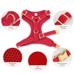 Didog Red Bowtie Dog Harness, Collar, and Leash Set