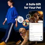 QR Code Dog Collar with Adjustable ID Tag