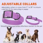Waterproof Biothane Dog Collar in Amethyst Purple