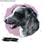 Catahoula Cur Dog Hand-Drawn Poster Print