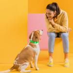 Waterproof Biothane Dog Collar in Tropical Green