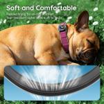 SmafurTag QR Code Dog Collar with AirTag Holder