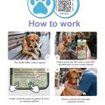 QR Code Cat Tag with Online Profile Access
