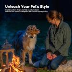 QR Code Dog Collar with Adjustable ID Tag