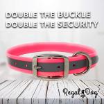 Personalized Reflective Dog Collar with Name Plate