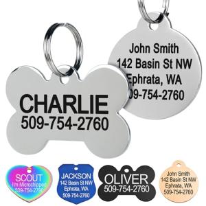 Personalized Stainless Steel Pet ID Tags