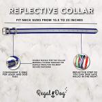 Personalized Reflective Dog Collar with Name Plate