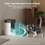 PETLIBRO RFID Automatic Cat Feeder Bundle