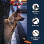 QR Code Dog Collar with Adjustable ID Tag