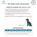 Rhinestone Bling Adjustable Waterproof Dog Collar