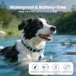 PawView QR Pet ID Tags - Waterproof & Jingle-Free