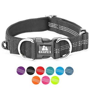 Comfortable Dog Collar with Dual D-Ring and ID Tag