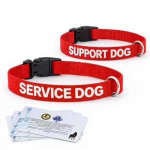 Service Dog Nylon Collar with ID Tag and Cards