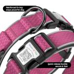 SmafurTag QR Code Dog Collar with AirTag Holder