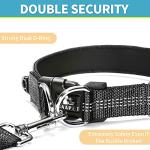 Comfortable Dog Collar with Dual D-Ring and ID Tag