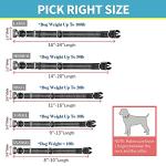 Comfortable Dog Collar with Dual D-Ring and ID Tag