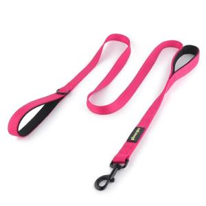Plutus 6ft Double Handle Dog Leash - Pink