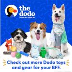 Dodo Yellow Waterproof Dog Collar and Leash Set