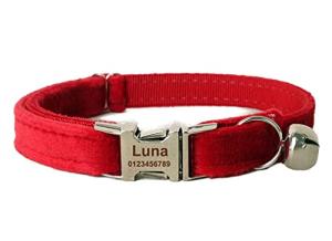 Personalized Cat Collar with Engraved Name & Phone