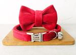 Personalized Cat Collar with Engraved Name & Phone