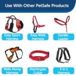 PetSafe Durable Nylon Dog Leash with Bolt Snap