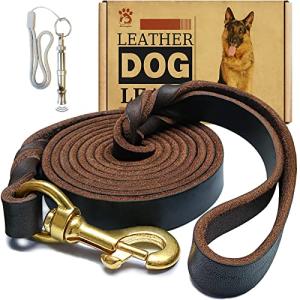 Genuine Leather Braided Dog Training Leash, 6ft