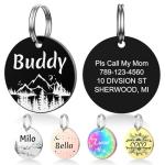 Personalized Stainless Steel Pet ID Tags - Round