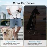 6 FT Reflective Dog Leash with Padded Handle