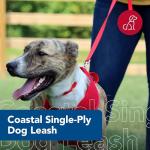 Neon Pink Soft Dog Leash - Durable & Stylish