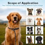 6 FT Reflective Dog Leash with Padded Handle