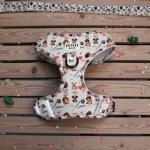 Ultimate Dog Essentials Set: Harness, Leash, ID Tag