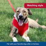 Neon Pink Soft Dog Leash - Durable & Stylish