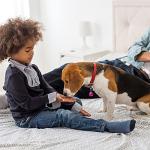 16 Pcs Colorful Jingle Bells for Pet Collars