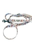 Ultimate Dog Essentials Set: Harness, Leash, ID Tag